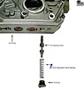 VW 01M 01N 01P TCC regulator valve spring
