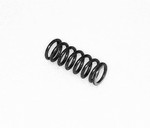 Powerglide transmission reverse clutch return springs.
