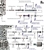 37947-11K FORD 4R44E, 5R55E EPC & engagement kit.