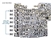 9574030K ZF6HP21/28/34 (Generation 2) END PLUG KIT, O-RINGD INTERNAL